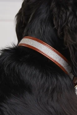 HC Classic Dog Collar